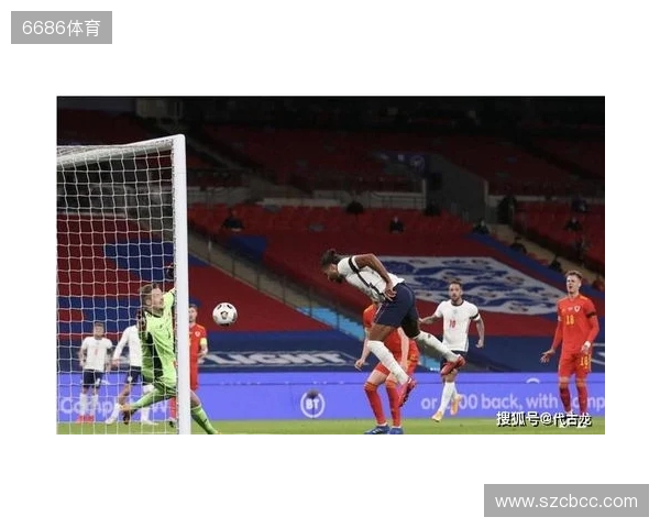 Opta回顾帕洛特过去一周的表现,7脚射门打进5球!